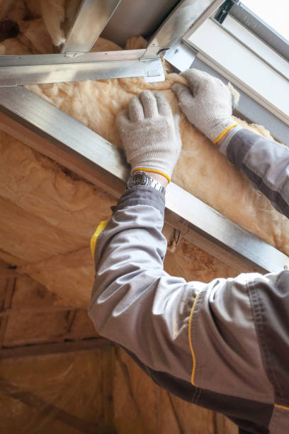 Best Residential Insulation in Drum Point, MD